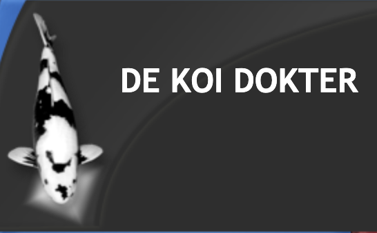 de koidokter